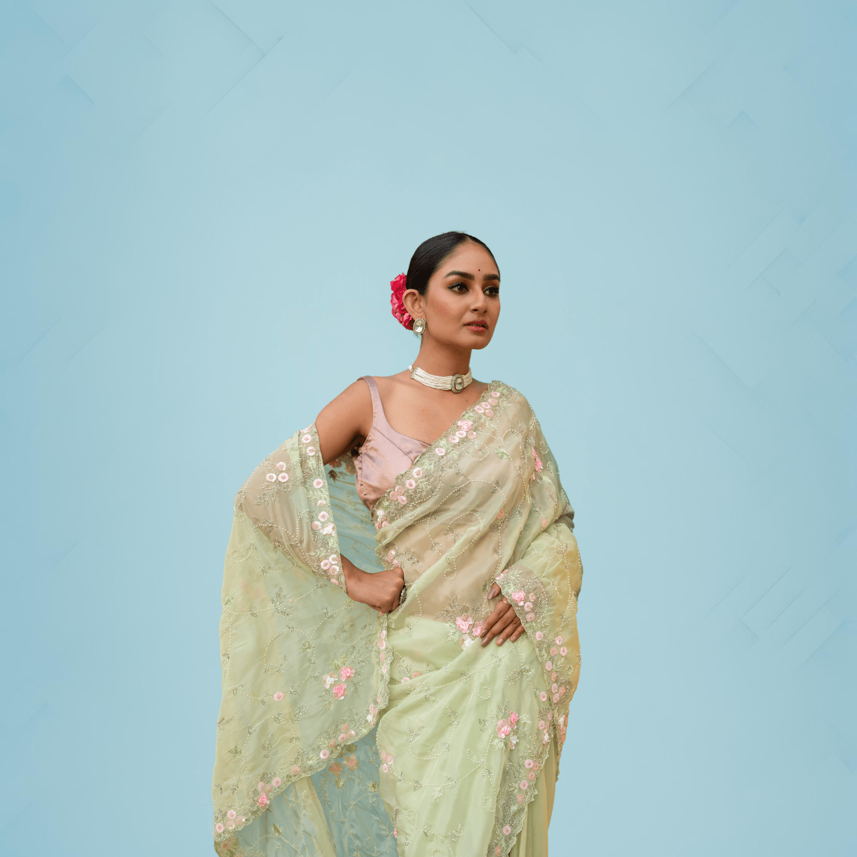 Party Wear Pure Organza Saree in pastel shades - Kalyanam By Swati