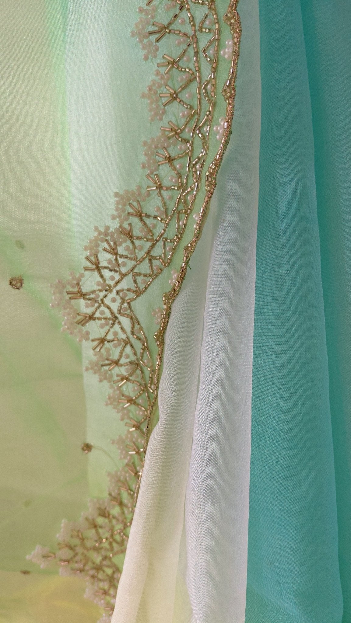 Pure Organza Saree in heavy cut dana and pearl handwork (Not viscose organza) - Kalyanam By Swati