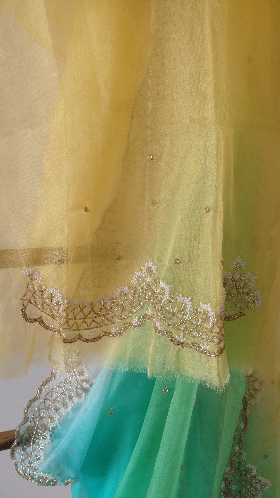 Pure Organza Saree in heavy cut dana and pearl handwork (Not viscose organza) - Kalyanam By Swati