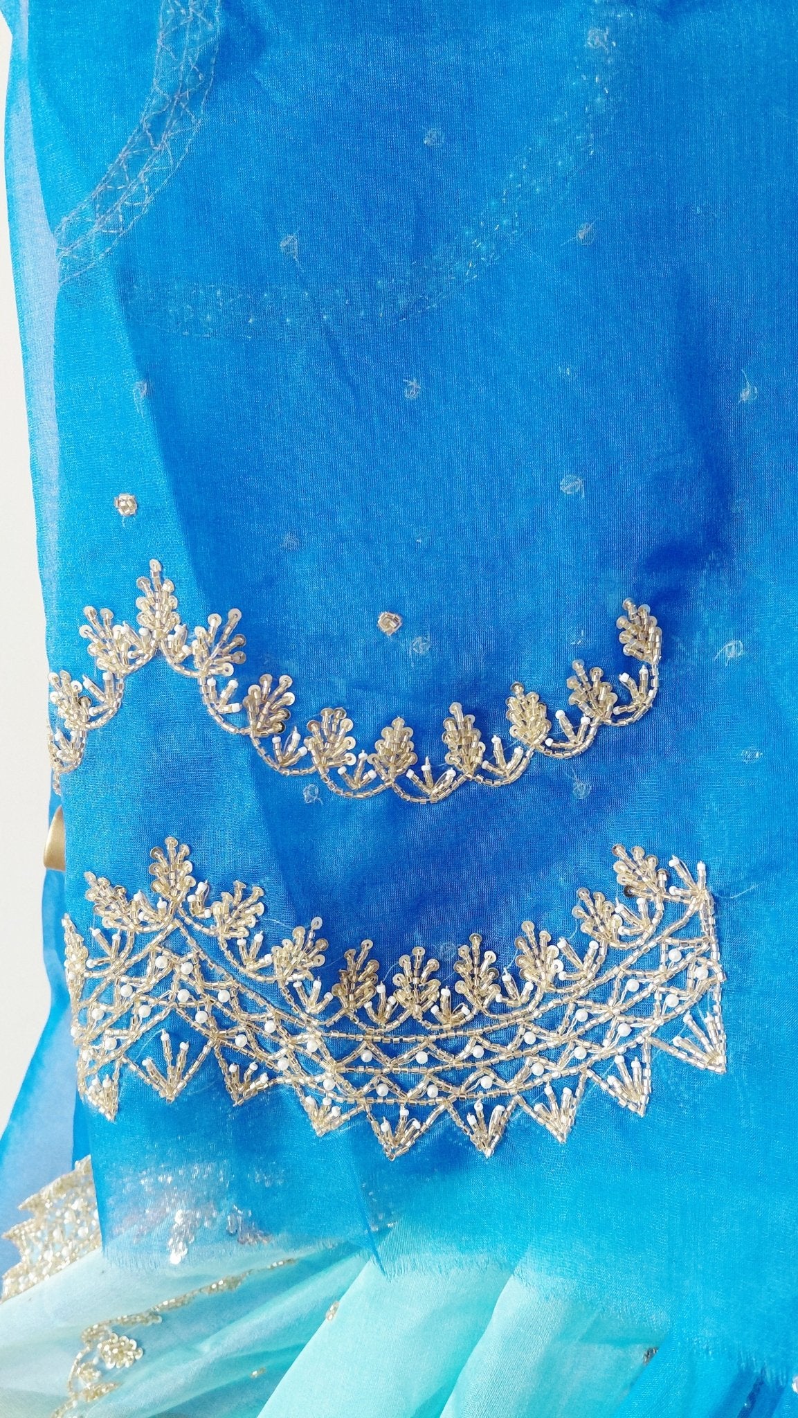 Pure Organza Saree in heavy zardozi handwork in ombré shades (Not viscose organza) - Kalyanam By Swati